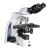 Microscope EUROMEX IS.1152‑PLPH