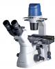 inverted Oxion microscope for phase contrast